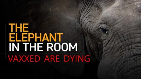 🐘 The Elephant in the Room ~ The Vaccinated Are Dying