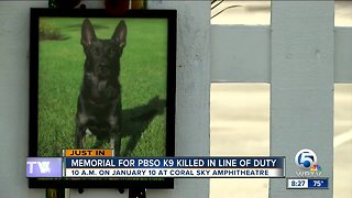 Memorial service for PBSO K-9 Cigo to be held Jan. 10 at Coral Sky Amphitheatre