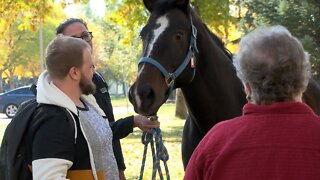 Therapeutic Riding Association Brings Horses To Lethbridge College - October 4, 2022