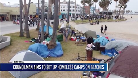 LA City Councilmen Aims To Set Up Homeless Camps On City's Beaches