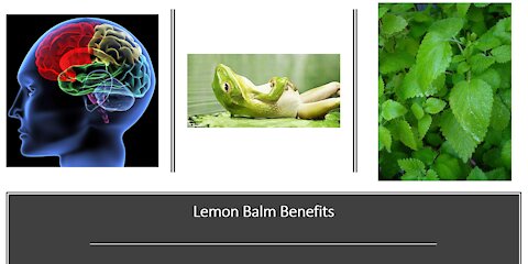 Lemon Balm Brain Benefits