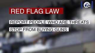 President Trump calls for red flag gun law, mirroring New York State's newest gun legislation