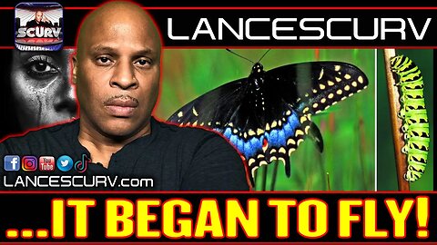 JUST WHEN THE CATERPILLAR THOUGHT ITS LIFE WAS OVER, IT BEGAN TO FLY! | LANCESCURV