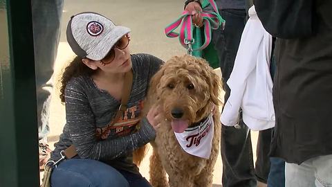 BONUS FOOTAGE: Tigers Bark at the Park (May 14)