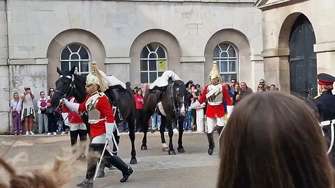 The crowd gasped at guards dismounting #horseguardsparade