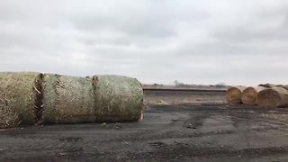 Nebraska Hay Delivery