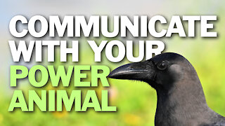 Communicate With Your Power Animal