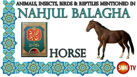 Horse - Animals, Insects, Reptiles & Amphibians mentioned in Nahjul Balagha (Peak of Eloquence)