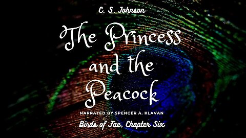 The Princess and the Peacock, Chapter 6