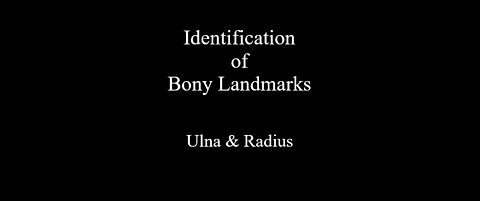 Identification of Bony Landmarks - Ulna & Radius