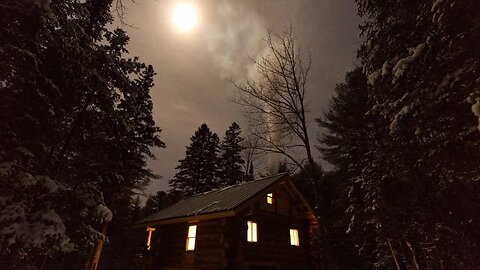 Living with Wolves at my Off Grid Log Cabin in the Wilderness - Homesteading from Scratch