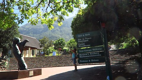 SOUTH AFRICA - Cape Town - Kirstenbosch National Botanical Garden (Video) (hp2)