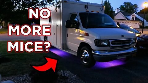 Will I Ever Need To Worry About Mice Invading My Rig After Doing This? | Ambulance Conversion Life