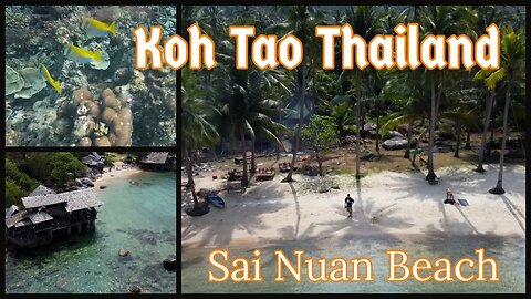 Sai Nuan Beach - Koh Tai Thailand 2023 - Drone and Underwater Footage
