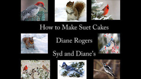 How to make Suet Cakes for Birds