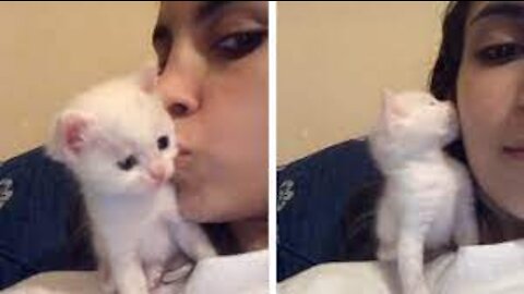 Kitten Kisses Owner Back On Cheek