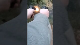 HANDGUN DUAL WIELD MADNESS!