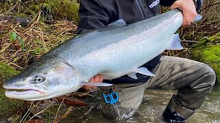 High Water STEELHEAD Fishing Techniques, Tips, & TRICKS!