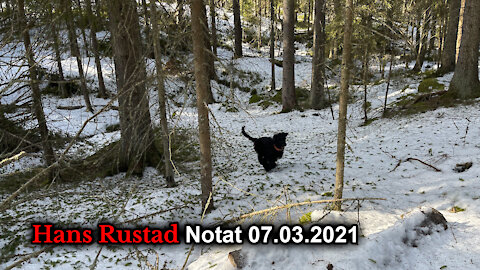 Hans Rustad notat 07.03.2021 Hunters laptop