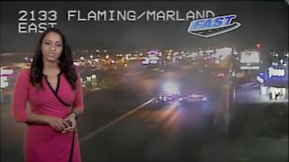 Pedestrian crash near Flamingo/Maryland