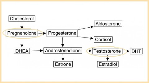 The Science Behind Pregnenolone and Testosterone: Why You Need Both
