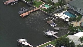 Tampa Bay business owners, advocates talk solutions to red tide resurgence