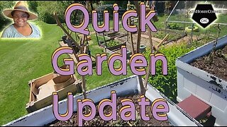 Quick #gardentour Update - #catshobbycorner