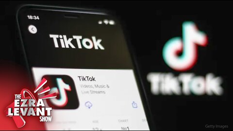 TikTok, artificial intelligence and the digital surveillance state