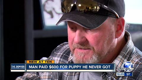 Colorado family scammed by dog 'breeder' in Texas shares story