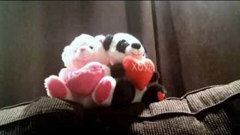 Teddy bears dance for Valentine's Day