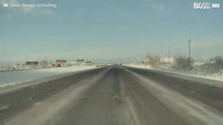 Chien presque percuté par une voiture