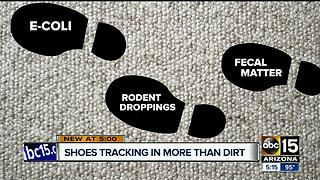 Wearing shoes in the house may track in more than you think