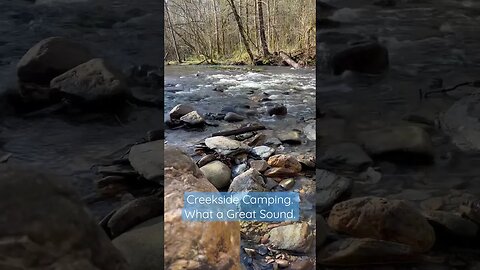 Hear the Soothing Sounds of a Creekside Campsite in Tennessee! #shorts [ASMR]