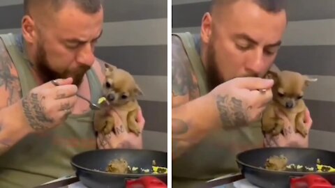 Dad and puppy like to eat on the same plate