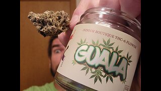 Guala Indoor THCA Flower Review (Melt)