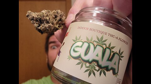 Guala Indoor THCA Flower Review (Melt)