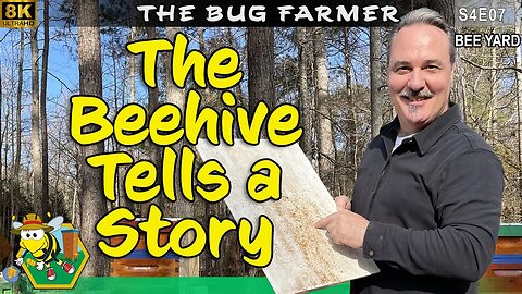 Reading The Bottom Board | The Bees Have a Story To Tell #beekeeping #insects