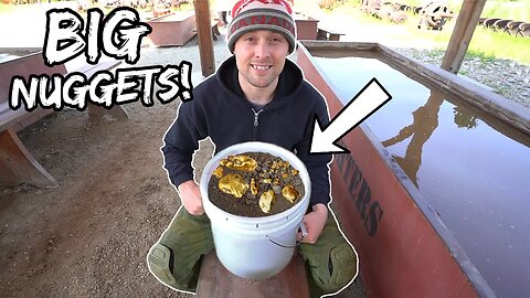 Checkout What's Inside This $10,000 Bucket of GOLD Paydirt!