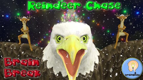 Reindeer Chase | Brain Break | Christmas Game | PE Game