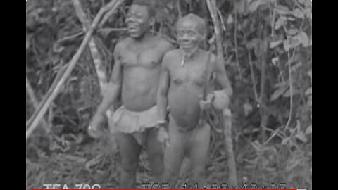 African Pygmy Thrills, 1930s