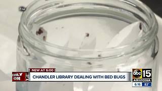 Chandler Public Library latest location in bed bug complaints