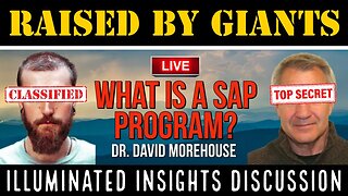 Illuminated Insights Discussion - What is a SAP Program? - Dr. David Morehouse