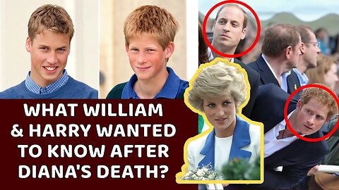 Investigator Reveals What William And Harry Wanted To Know After Princess Diana's Death