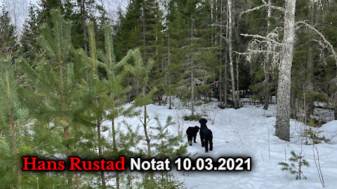 Hans Rustad notat 10.03.2021 Fimbulvinter