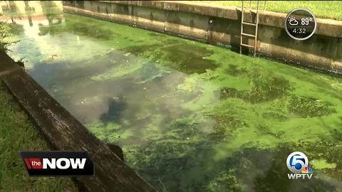 Citizens sick of algae speak with Senator Bill Nelson