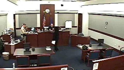 Sheer vs Sheer D-10-433088-D before Art Ritchie Judge Family Court Clark County 11.3.10