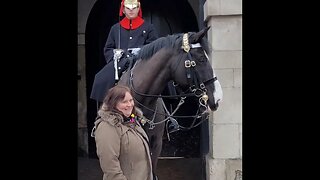 The horse pushes her away #horseguardsparade