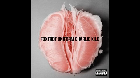 "Foxtrot Uniform Charlie Kilo" Featuring the Bloodhound Gang Remixed By Dj.RANSOM the FREEDOMIST