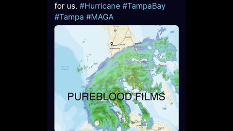 HURRICANE - PUREBLOOD FILMS