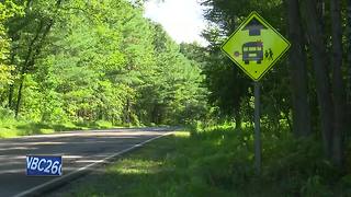 Driver injured after rear-ending school bus in Menominee County